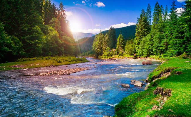 SPIRITUAL SEARCH SPIRITUAL SEARCH